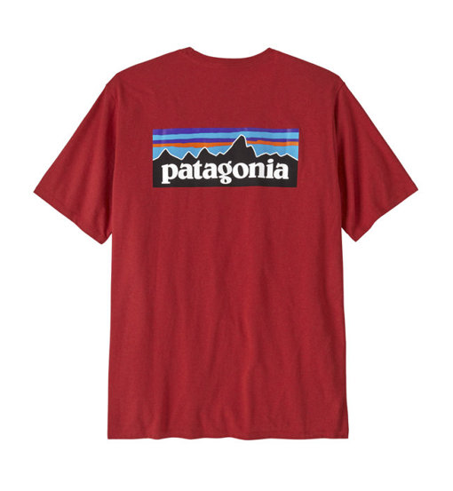 Patagonia P-6 Logo Responsibili-Tee: T-shirt Eco Uomo