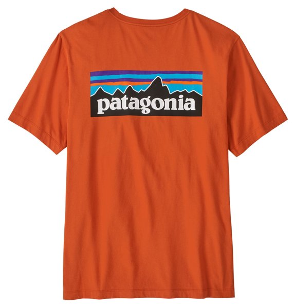 Patagonia P-6 Logo - T-shirt - Damen, Gr. M