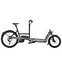 Riese & Müller Packster 60 Touring (2020) - E-Cargobike, Grey
