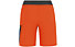 Salewa Agner DST B - Softshell-Hose - Kinder, Orange/Dark Grey/Dark Blue