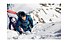 Salewa Carbonium Ascent - Trekkingstöcke