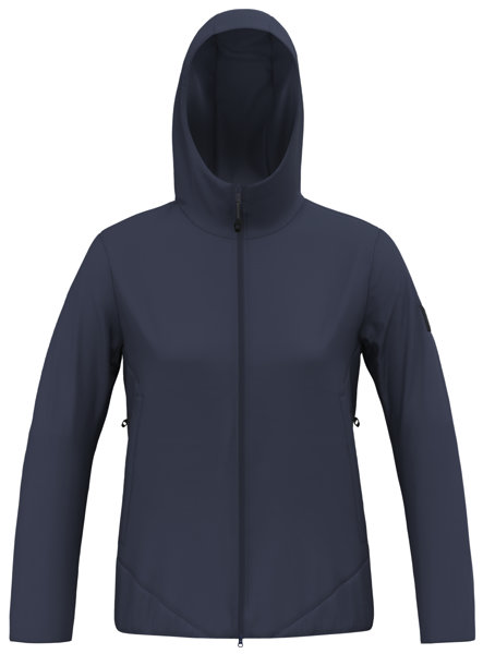 Salewa Fanes 2L PTX 2/1 W - Trekkingjacke - Damen, Gr. I46 D40
