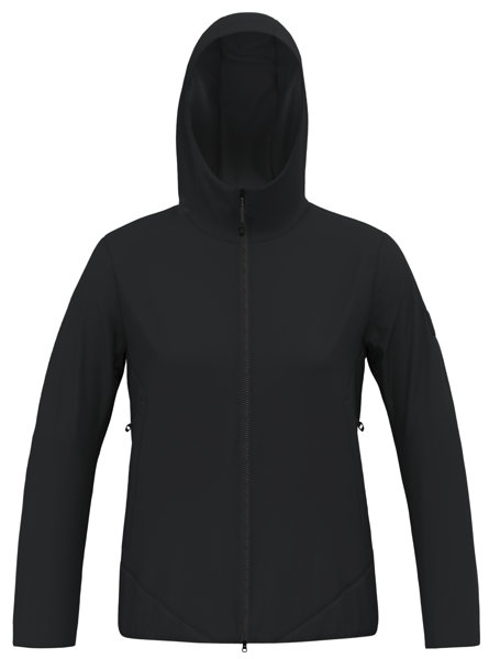 Salewa Fanes 2L PTX 2/1 W - Trekkingjacke - Damen, Gr. I46 D40