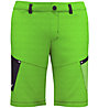 Salewa M Alpine Hemp Cargo - pantaloni corti arrampicata - uomo, Light Green