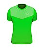 Salewa M Alpine Hemp - T-shirt - Herren, Light Green
