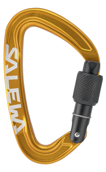 Salewa Ortles Screw - Karabiner, Gr. 0