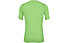 Salewa Pedroc 3 Dry M S/S Tee - T-Shirt Bergsport - Herren, Light Green/White