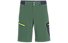 Salewa Pedroc Cargo 2 DST - pantaloni corti trekking - uomo, Green