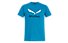 Salewa Solidlogo Dri-Release - T-Shirt Bergsport - Herren, Light Blue