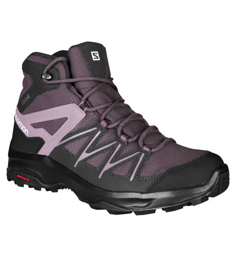 daintree mid gtx