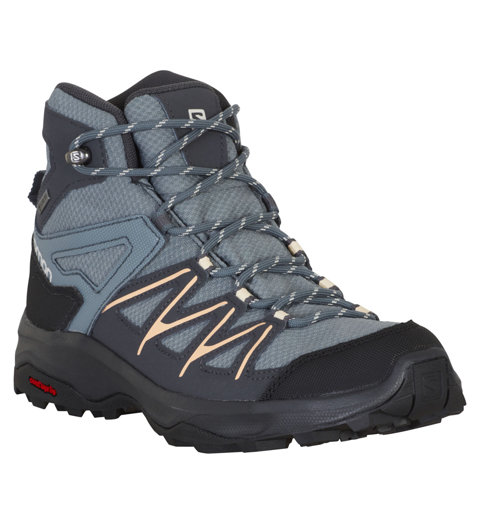 daintree mid gtx
