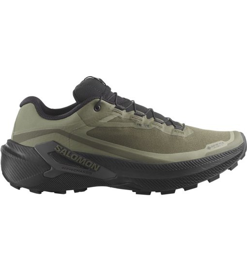 Salomon Genesis 2 GTX, green