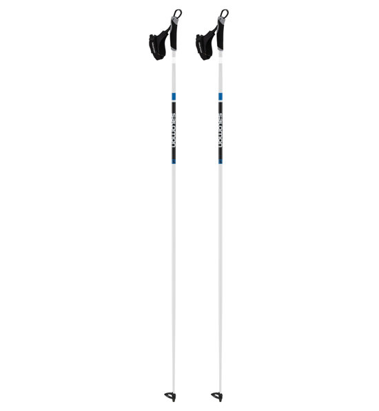 salomon touring poles