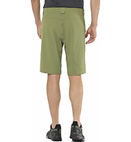 Salomon Wayfarer - pantaloni corti trekking - uomo, Green