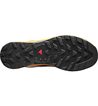 salomon alpine pro