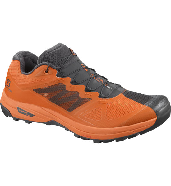 salomon alpine pro