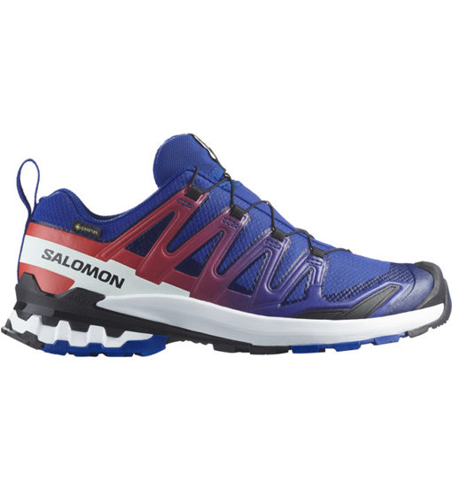 Salomon XA PRO 3D V9 GTX: Recensione Trail Running