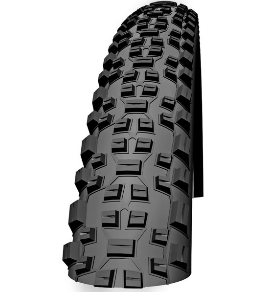 Schwalbe Racing Ralph 29'' x 2,10'' Evolution Line | Sportler.com