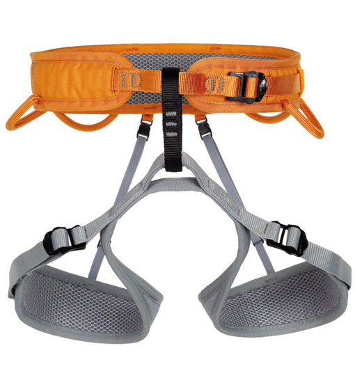 Singing Rock Ray - imbrago basso