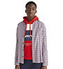 Tommy Jeans Essential Check - Langarmhemd - Herren, Red/Blue/White