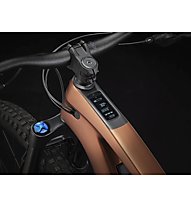 Trek Fuel EXe 9.7 - E-Mountainbike, Brown