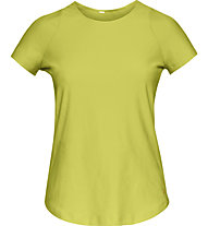 under armour women's vanish lux crop t shirt