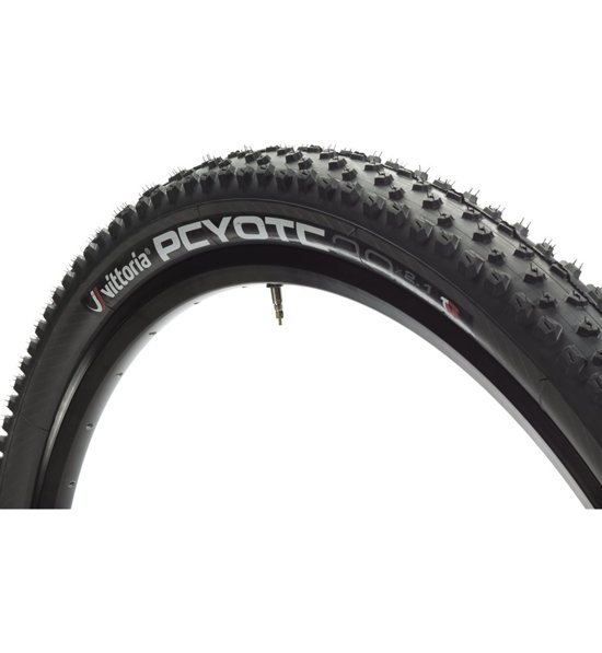 vittoria barzo 29 2.1 tnt