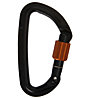 Wild Country Session Screw Gate - moschettone, Black/Red