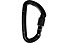 Wild Country Session Screw Gate - moschettone, Black