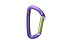 Wild Country Session Straight Gate - moschettone, Purple/Green